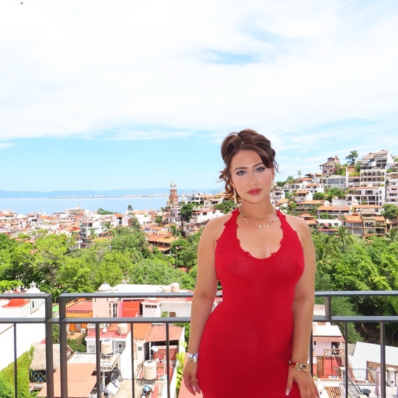 Canon SX740 HS Silver Digital Camera - Picture 16 of 16